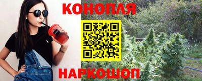 прущие крисы Бийск