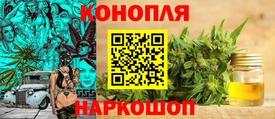 прущие крисы Бийск