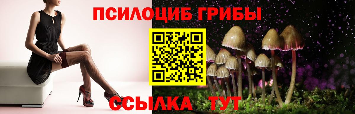 Галлюциногенные грибы Psilocybine cubensis Зеленокумск